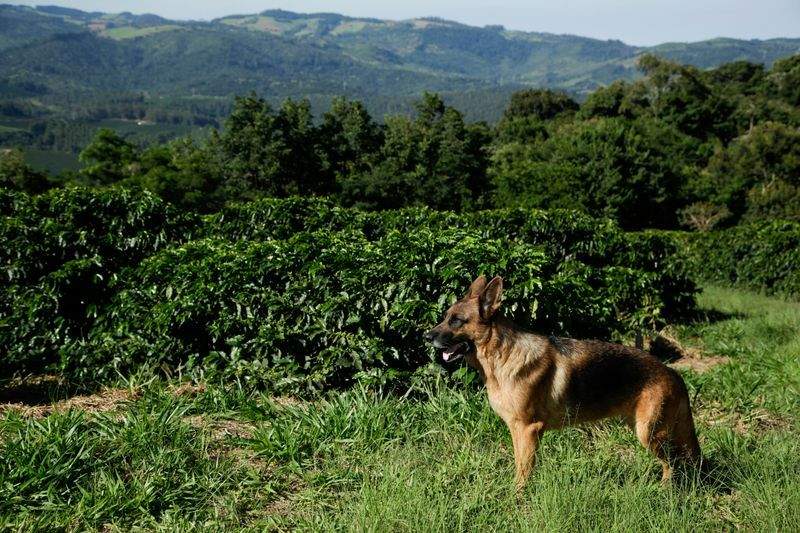 Planificación de cultivos: cómo organizar mejor la temporada agrícola