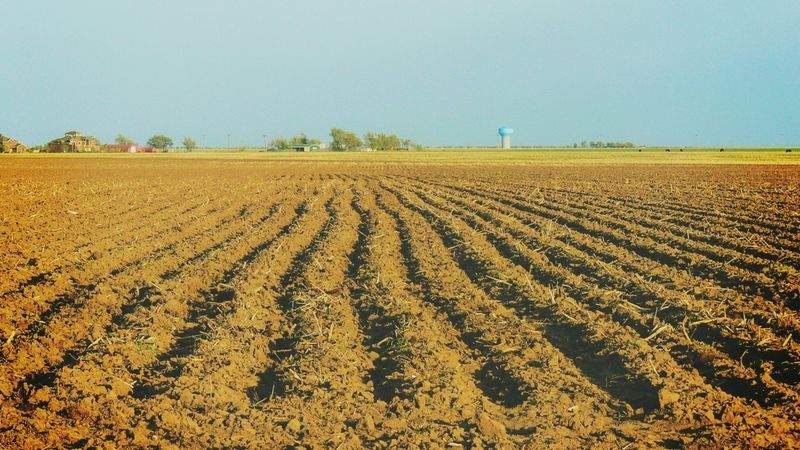 AgroSierra del Mediterráneo 6